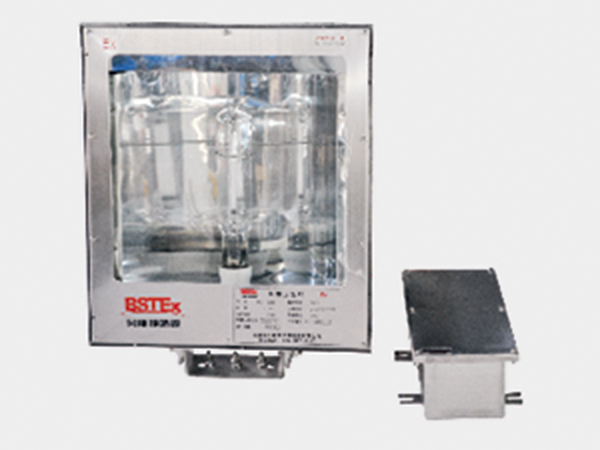 BST-6002防爆泛光灯