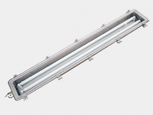 BST6220 Stainless steel flameproof and energy saving fluorescent lamp